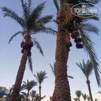 фото из отзыва ID 2710216