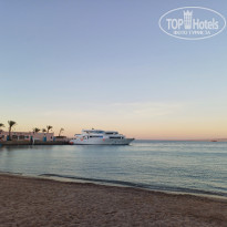 фото из отзыва ID 2710216