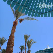 фото из отзыва ID 2710216