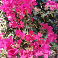 фото из отзыва ID 2710216