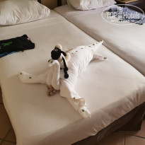 фото из отзыва ID 2718195