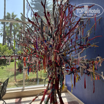 фото из отзыва ID 2718213