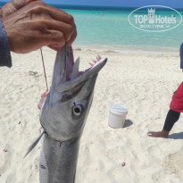 фото из отзыва ID 2718226