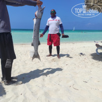 фото из отзыва ID 2718226