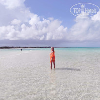 фото из отзыва ID 2718226