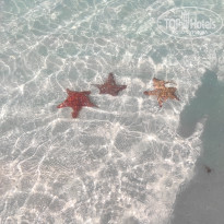 фото из отзыва ID 2718226