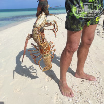 фото из отзыва ID 2718226