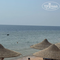 фото из отзыва ID 2718245