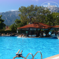 фото из отзыва ID 2718249