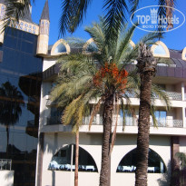 фото из отзыва ID 2718249