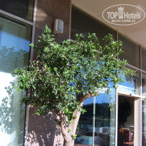 фото из отзыва ID 2718249