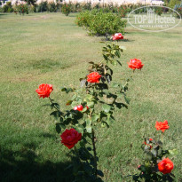 фото из отзыва ID 2718249