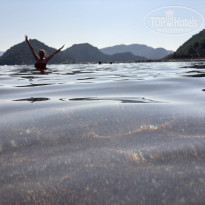 фото из отзыва ID 2718267