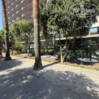 фото из отзыва ID 2718274