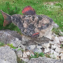 фото из отзыва ID 2718081