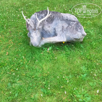 фото из отзыва ID 2718081