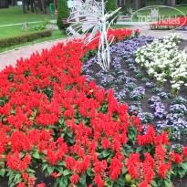 фото из отзыва ID 2718081