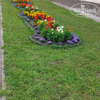 фото из отзыва ID 2718081