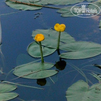 фото из отзыва ID 2718081