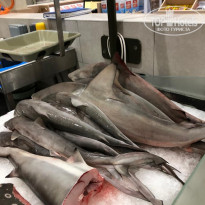 фото из отзыва ID 2718271