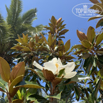 фото из отзыва ID 2718323