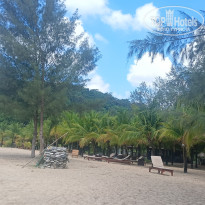 фото из отзыва ID 2716861