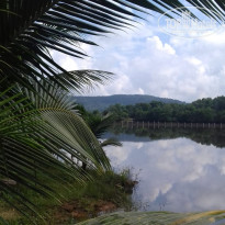 фото из отзыва ID 2716861