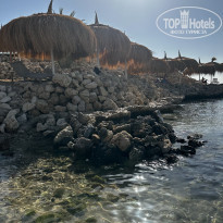 фото из отзыва ID 2718346