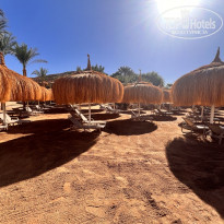 фото из отзыва ID 2718346