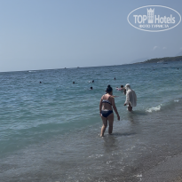 фото из отзыва ID 2718421