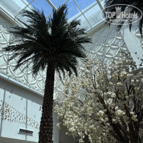 фото из отзыва ID 2718426