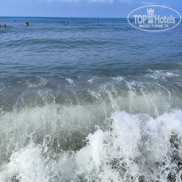 фото из отзыва ID 2718441