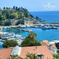 фото из отзыва ID 2718441