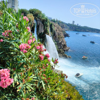 фото из отзыва ID 2718441