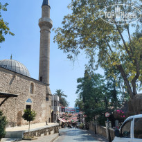 фото из отзыва ID 2718441