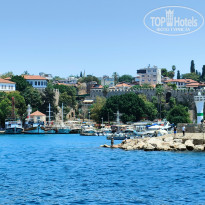 фото из отзыва ID 2718441