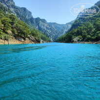 фото из отзыва ID 2718441