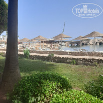 фото из отзыва ID 2718484