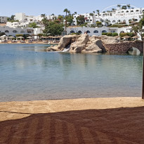 фото из отзыва ID 2718484