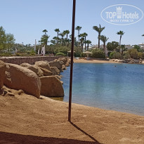 фото из отзыва ID 2718484