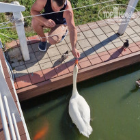 фото из отзыва ID 2718486