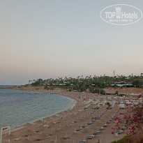 фото из отзыва ID 2718484