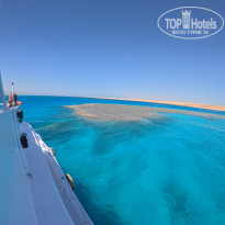 фото из отзыва ID 2718484