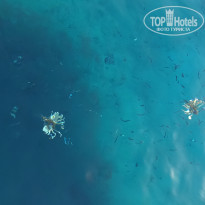 фото из отзыва ID 2718484