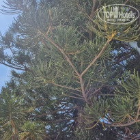 фото из отзыва ID 2718508