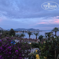 фото из отзыва ID 2718508