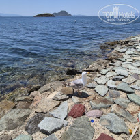 фото из отзыва ID 2718508