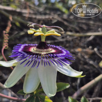 фото из отзыва ID 2718508