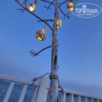 фото из отзыва ID 2718508