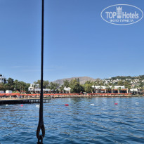 фото из отзыва ID 2718508